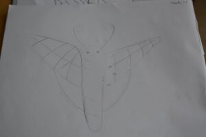 moth3
